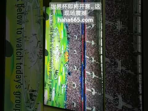 新加坡,赛达斯汀与,涅曼并肩领,爱游戏app,爱游戏官网,爱游戏体育官网,爱游戏体育app