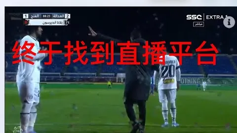 “南非公开赛第二轮中断，诺瑞斯领先怀特内尔两记ACE”